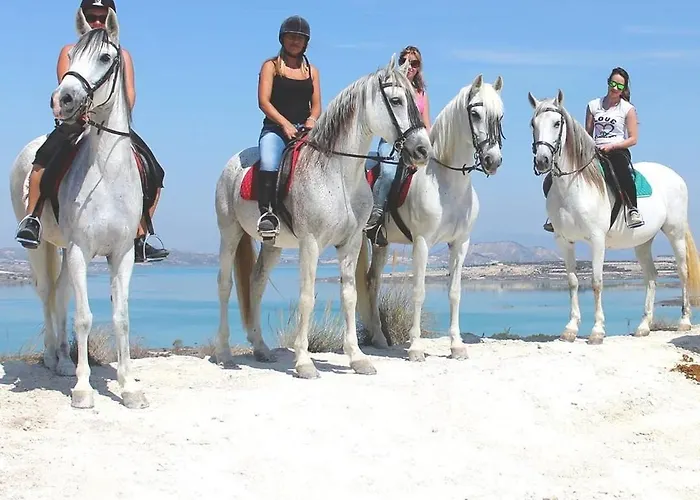 Playa Locos Aldea Del Mar Lägenhet Torrevieja